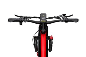 Bicicletă Electrică Duotts F26