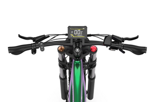 Bicicletă Electrică Duotts E26