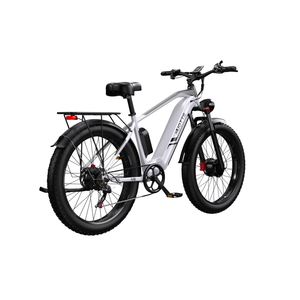 Bicicletă Electrică Duotts F26